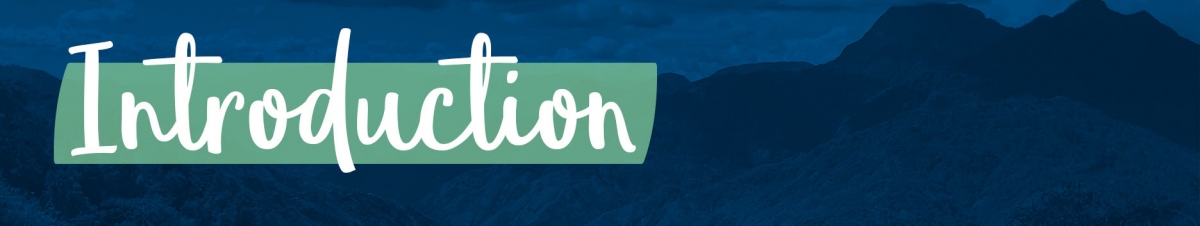 Introduction Banner