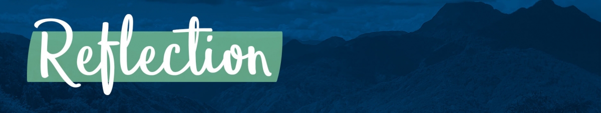 Reflection Banner