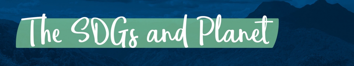 The SDGs and Planet Banner