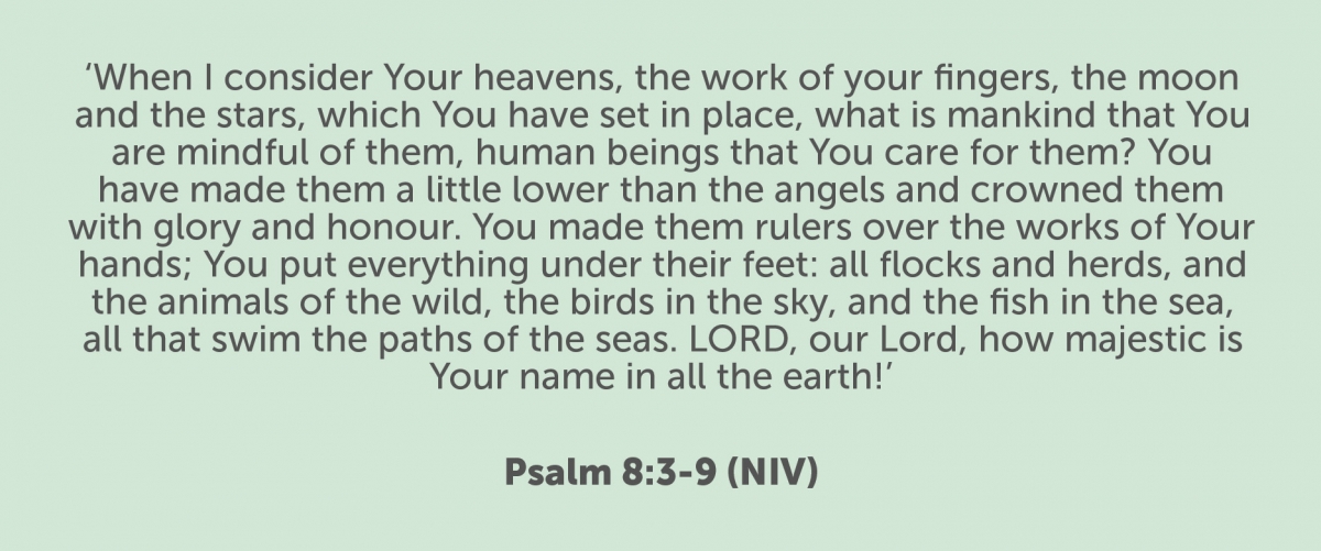 When I consider your heavens, the work of your fingers, the moon and the stars, which you have set in place, what is mankind that you are mindful of them, human beings that you care for them? You have made them a little lower than the angels and crowned them with glory and honour. You made them rulers over the works of your hands; you put everything under their feet: all flocks and herds, and the animals of the wild, the birds in the sky, and the fish in the sea, all that swim the paths of the seas. LORD, our Lord, how majestic is your name in all the earth! Psalm 8:3-9 (NIV)